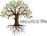Securico